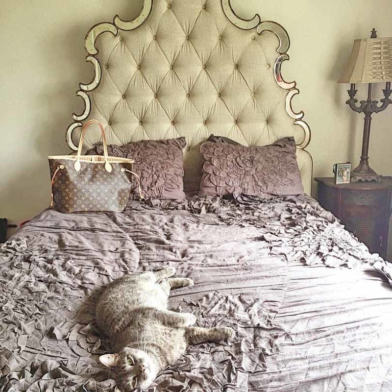 Candace Rose cat Grayson upholstered bed mirrored trim louis vuitton purse cat health wellness interview candieanderson blog