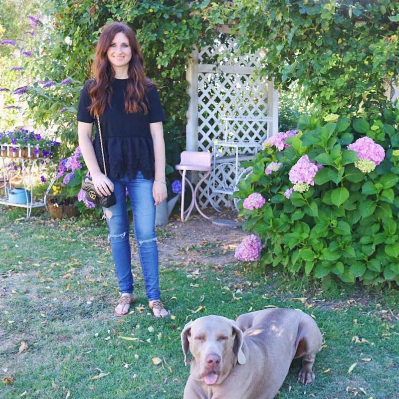Candace Rose In love with my endless rose lace peplum tee shirt black white. candieanderson blog weimaraner hydrangea summer 2017 peplum tops gucci marmont bag.