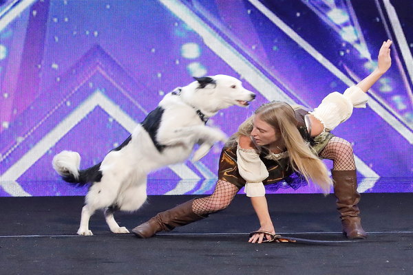  Watch America's Got Talent Season 12 Episode 5 Auditions Night 5. Tuesday, June 26, 2017. Meet Sara the dog trainer and her five year old dog, Hero!