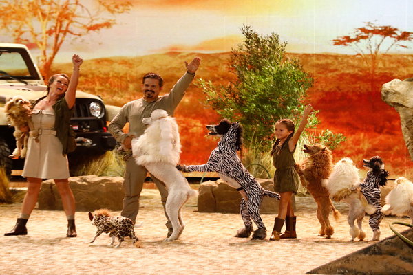  Watch America's Got Talent Season 12 Episode 15 Live Show 2 Videos: Tuesday, August 22, 2017. The Pompeyo family of Sarasota, Florida. They have two kids and 18 dogs! Their dream is to have a "live show in Las Vegas." If you love dogs as much as I do, you'll adore their amazing performance! These dogs are the cutest (in their little lion costumes!).