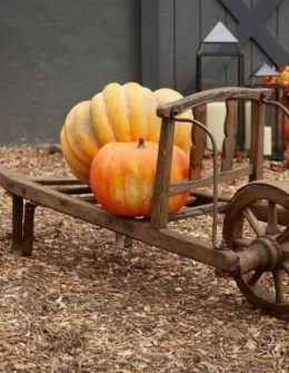 Pottery Barn FOUND WHEEL BARROW fall decorating sale