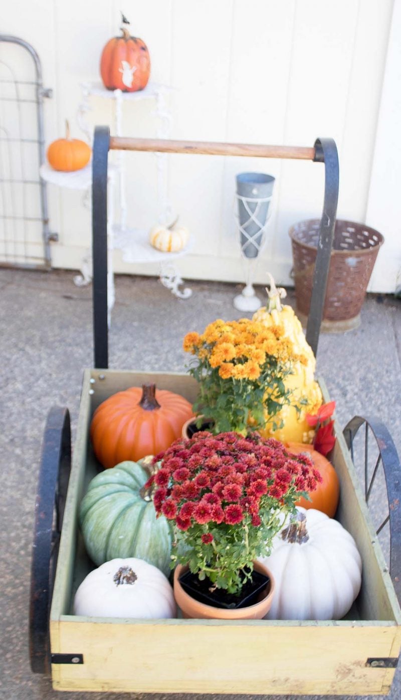 candace rose anderson candieanderson blog pumpkins mums fall porch farmhouse style lifestyle blogger