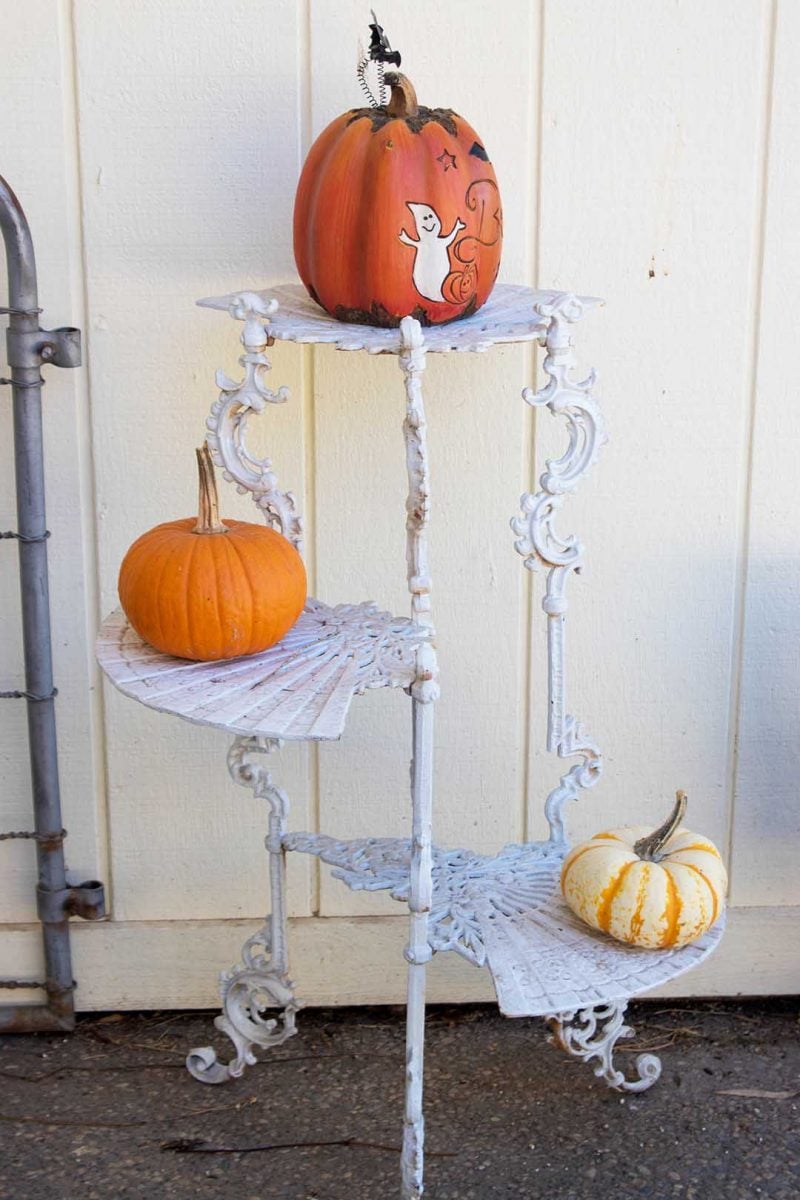 candace rose anderson fall porch pumpkins