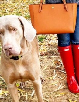 candace rose anderson red hunter boots shopbop event of the season sale tory burch small york tote bag fall 2017 candieanderson fashion blog lifestyle blogger