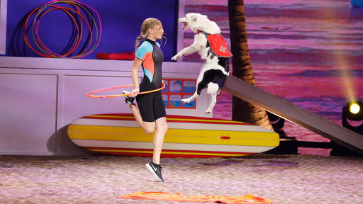 Watch America's Got Talent Season 12 Episode 19 Semifinals 1 videos on Tuesday, September 5, 2017. Dog trainer Sara and her dog Hero have been favorites of mine since AGT season 12 premiered earlier this summer. Tonight she, her dogs Hero (the collie) and Loki performed a "DogWatch" Baywatch themed skit and it was incredible! I just love watching them perform. They're so entertaining and joyful.