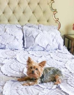 anthropologie anthro day sale candace rose anderson candieanderson blog anthropologie rivulets quilt bedding sale mirrored trim ornate glam bedroom dog nighstand blog review fashion lifestyle