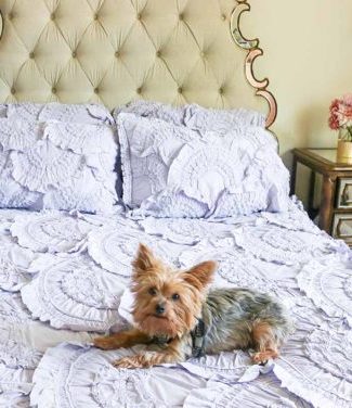 anthropologie anthro day sale candace rose anderson candieanderson blog anthropologie rivulets quilt bedding sale mirrored trim ornate glam bedroom dog nighstand blog review fashion lifestyle
