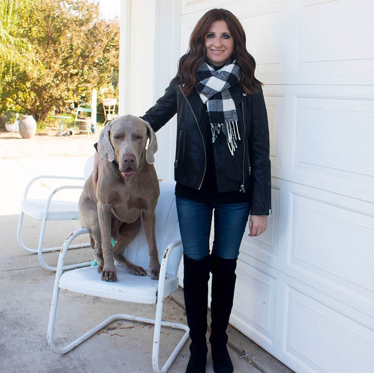candace rose anderson buffalo check scarves leather moto jacket weimaraner stuart weitzman 5050 over the knee boots candieanderson blog plaid scarf