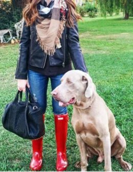 candace rose anderson military red hunter tour boots review alexander wang stud bag weimaraner fred burberry scarf leather moto jacket candieanderson blog fashion lifestyle