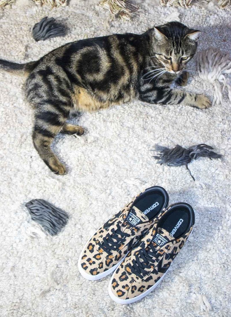 cat leopard print sneakers fall 2017 candace rose anderson blog candieanderson converse breakpoint sneakers