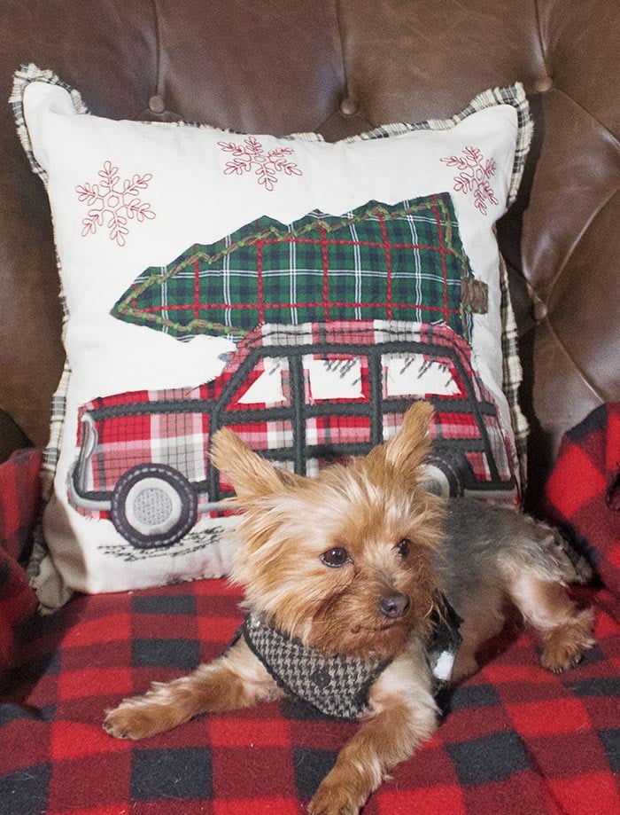 candace rose anderson yorkie christmas pillow cyber monday sale candieanderson blog car tree