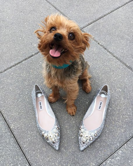 Miu Miu Glitter Embellished 10mm Skimmer Gray embellished flats holidays winter yorkie dog neiman marcus