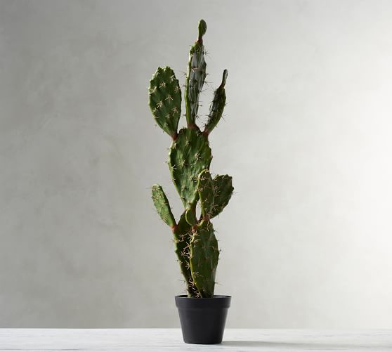 Pottery Barn FAUX LARGE POTTED OPUNTIA CACTUS pottery barn stock up and save sale