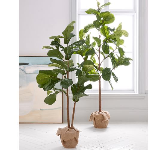Pottery Barn FAUX POTTED FIDDLE LEAF TREE pottery barn stock up and save sale