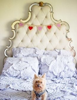 Lifestyle blogger Candie Anderson and her Yorkshire Terrier Francesca share the top Valentine's Day banners. The glitter banner is hanging over an upholstered bed. Candieanderson.com blog