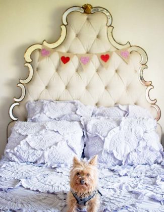 Lifestyle blogger Candie Anderson and her Yorkshire Terrier Francesca share the top Valentine's Day banners. The glitter banner is hanging over an upholstered bed. Candieanderson.com blog