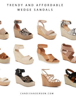 Style expert, journalist and blogger Candie Anderson of candieanderson.com has the scoop on the best wedge sandals under $200. Many of these trendy and affordable sandals are under $100! You'll love the leopard print, blush pink, snakeskin inspired leather, tan and more.