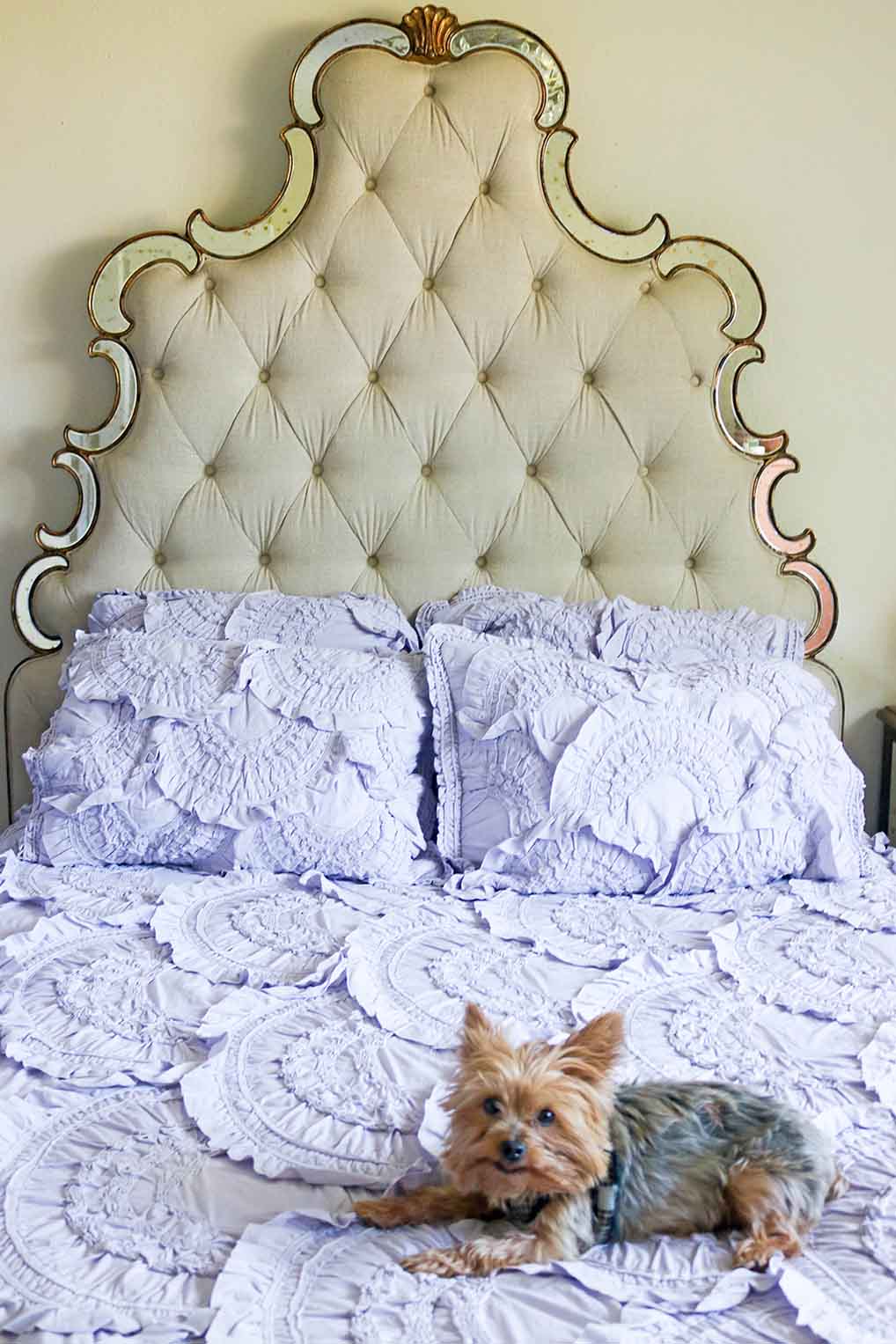 Candie Anderson's Yorkie, Francesca laying on the Rivulets Quilt in Lavender. This quilt is on sale at Anthropologie Memorial Day Sales.