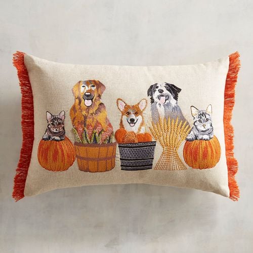 Grateful Harvest Collection Dogs & Cats Harvest Lumbar Pillow Pier1 fall throw pillows