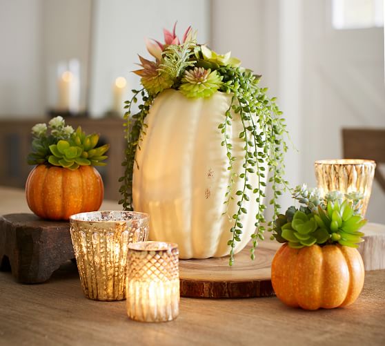 Pottery Barn SUCCULENT IN PUMPKIN pottery barn fall home decor sale