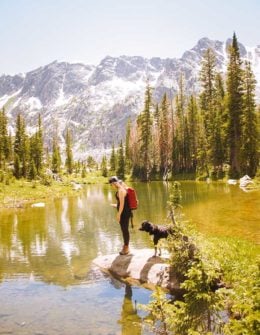 Summer is the perfect time to hike and enjoy the great outdoors with family, friends and your pets! Dr. Harvey Kaufman of Quest Diagnostics joined journalist and blogger, Candace Rose Anderson of the website Candie Anderson to discuss how to prevent tick bites and Lyme disease in humans and pets this summer. Photo by Holly Mandarich on Unsplash