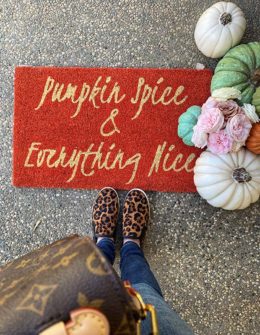 Pumpkin spice and everything nice door mat coir fiber dark orange fall door mats candie anderson candieanderson