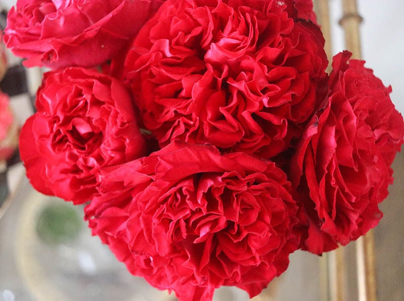 Kentucky Derby Bar Cart Decor For The Run For The Roses Candie Anderson