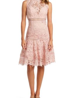 BARDOT Elise Lace Cocktail Dress Blush Pink lace dresses summer wedding guest