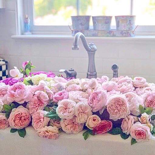 Lifestyle expert Candie Anderson is a flower farmer from RoseCandi flower farm where she grows gorgeous garden roses. Here are a few beautiful pink garden roses in a variety of shades! She filled her farm sink with them.