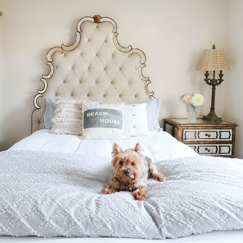 Lifestyle expert Candie Anderson of candieanderson.com shares images of her coastal inspired bedroom makeover with Walmart. Her Yorkie (dog) Francesca loves her chambray bedding from Modrn line.