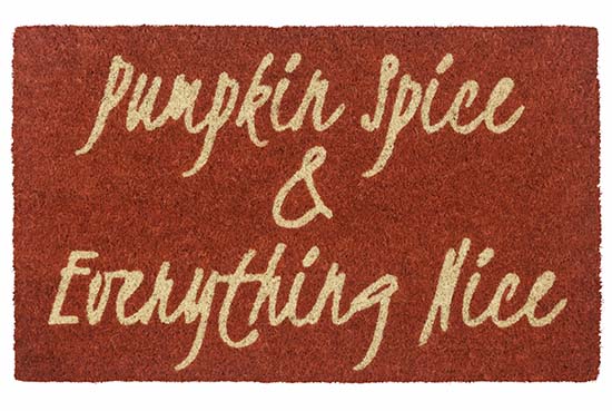 Entryways Pumpkin Spice And Everything Nice Outdoor Doormat