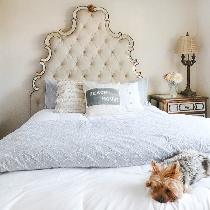 Lifestyle expert Candie Anderson shares her beautiful coastal inspired bedroom makeover on a budget! Learn how she was able to create this space under $150 with Walmart. Her dog Francesca loves it.