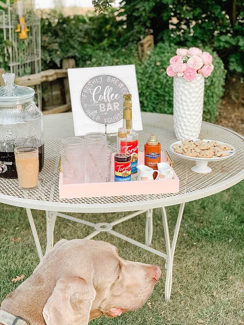 Candie Anderson's Weimaraner Fred was eyeing her vintage chic coffee bar, especially those homemade chocolate chip cookies by mom! 