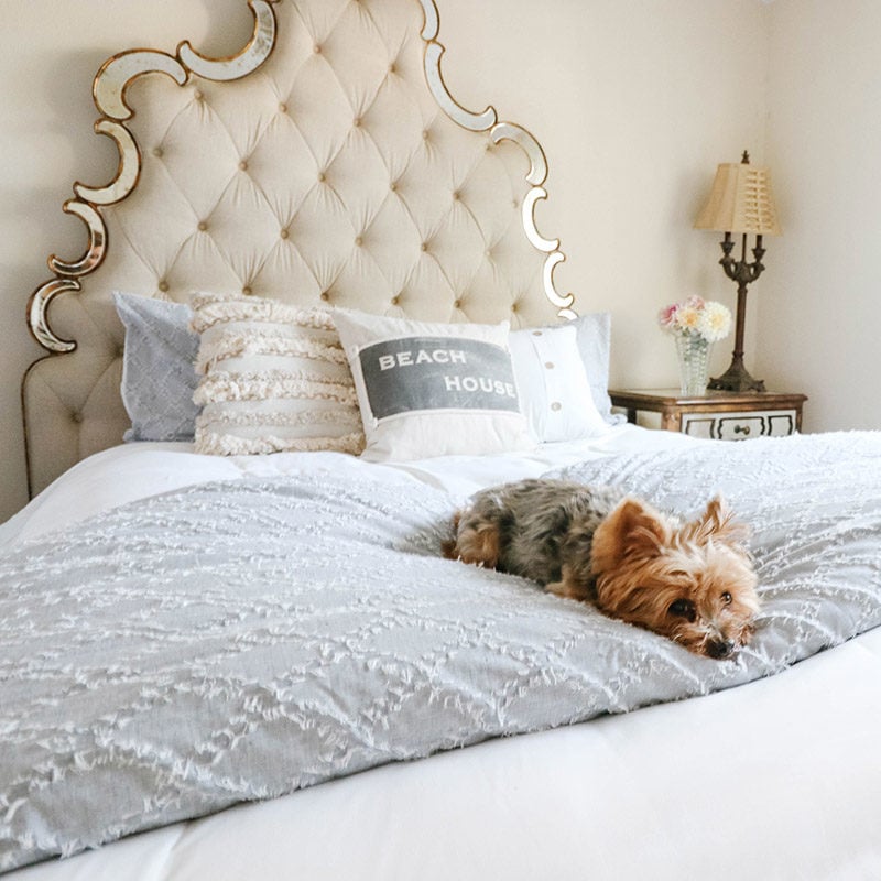 Lifestyle expert Candie Anderson's dog Francesca loves her new coastal inspired bedroom makeover!