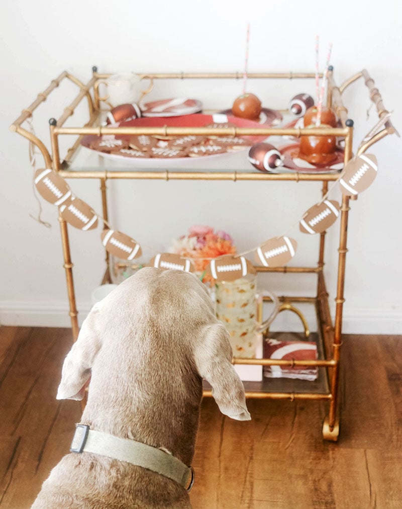 Blogger Candie Anderson's Weimaraner Fred is checking out the glam gold dessert cart for NFL football season.
