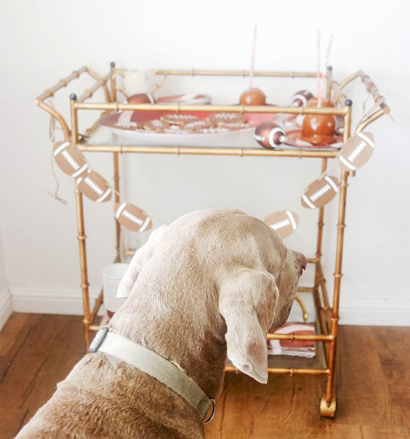 Lifestyle expert, journalist and sports fan Candie Anderson has a dog named Fred who loves checking out her football inspired dessert cart.