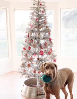 Lifestyle expert and blogger, Candace Rose Anderson of the blog Candie Anderson has the scoop on 20 of the best Silver Christmas trees including this beautiful artificial tree which she decorated with vintage Christmas ornaments and her dog Fred the Weimaraner sat next to.