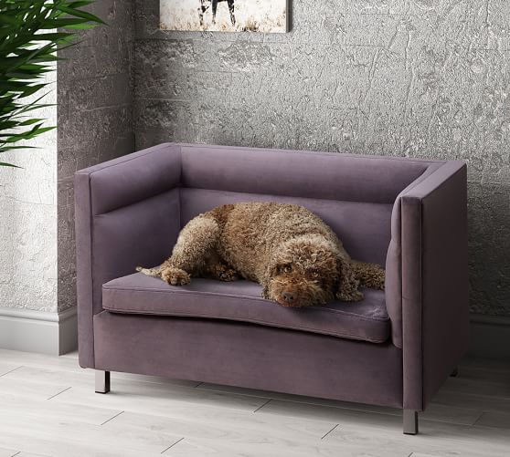 Pottery Barn Modern Pet Bed dog beds