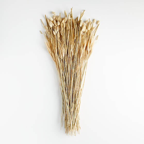 Crate and Barrel Dried Fall Harvest Bunch neutral fall home decor 