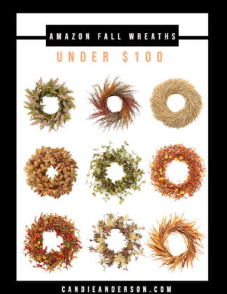 Lifestyle expert, journalist and interior design blogger Candie Anderson of candieanderson.com has the scoop on 9 of the best Amazon fall wreaths under $100 in the hottest trends, such as rustic, modern, farmhouse, traditional and contemporary! You'll love the faux berries, wheat, dried natural materials and more.