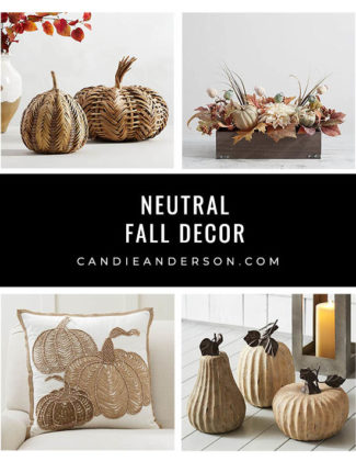 Lifestyle expert, journalist and interior design blogger Candie Anderson has the scoop on the best neutral fall decor for Halloween and Thanksgiving! You will adore these must haves.