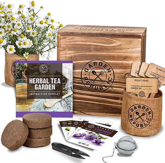 22 Amazon Garden Gifts For Every Gardener On Your List Candie Anderson