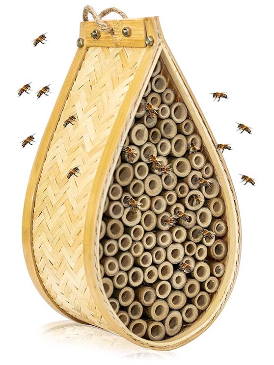 KIBAGA Mason Bee House Amazon gift guide gardeners gardening