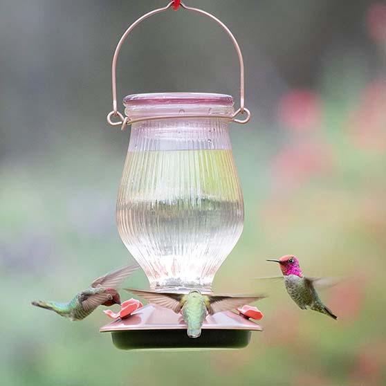 Perky-Pet 9104-2 Rose Gold Top-Fill Glass Hummingbird Feeder amazon holiday gift guide garden