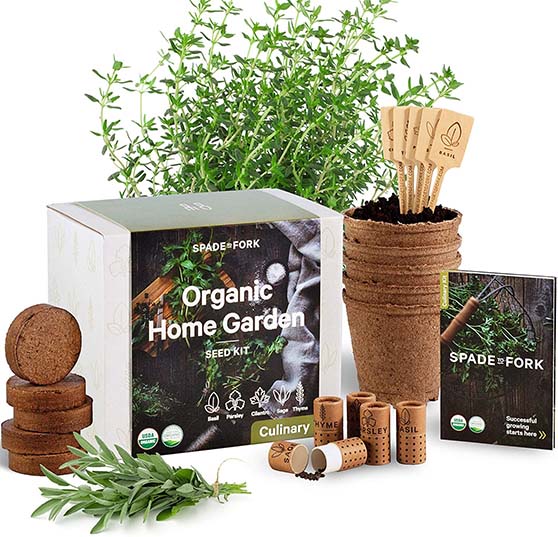 Spade to Fork Indoor Herb Garden Starter Kit amazon garden gift