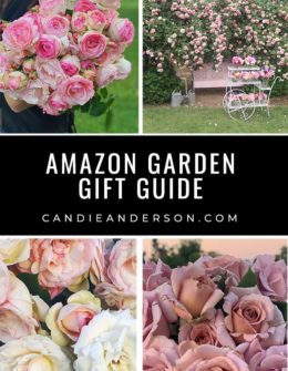 Lifestyle expert, journalist, flower farmer and blogger, Candie Anderson of candieanderson.com has the scoop on the best Amazon garden gifts for moms, dads, parents and family members of all ages! These are tried and true items that she and her mother use on their flower farm RoseCandi.
