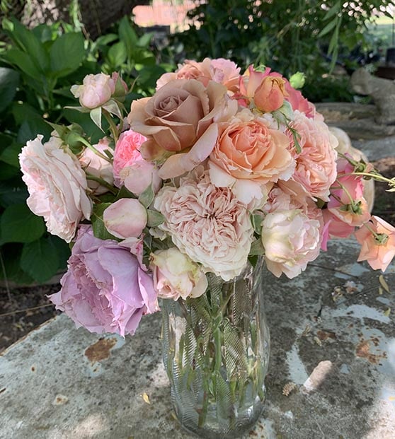 22 Amazon Garden Gifts For Every Gardener On Your List Candie Anderson