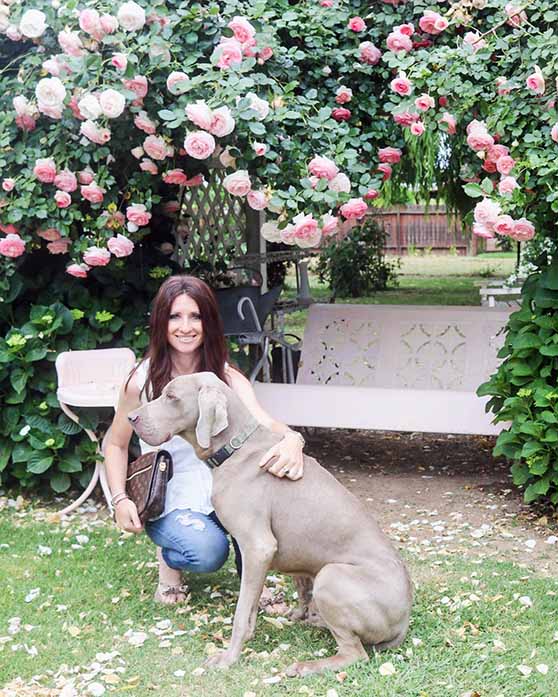 22 Amazon Garden Gifts For Every Gardener On Your List Candie Anderson