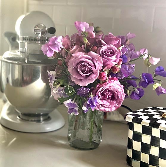 Lifestyle expert, journalist, flower farmer and blogger Candie Anderson of candieanderson.com shares her favorite garden roses, sweet pea seeds in her Amazon Garden Gift Guide.