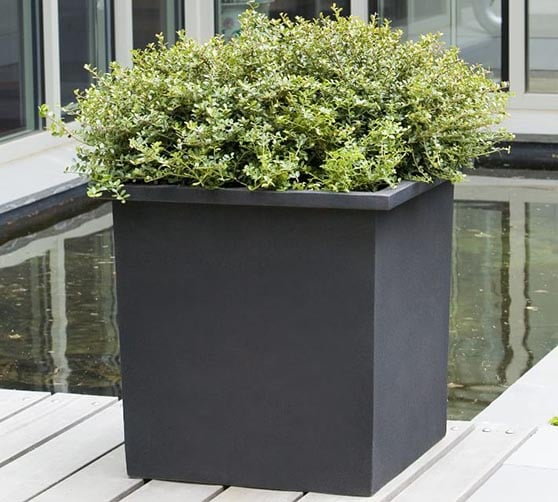 Pottery Barn Industrial Planter Onyx outdoor planters